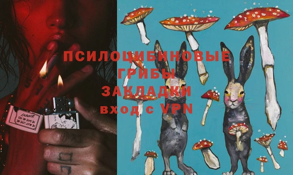 mdma Кукмор