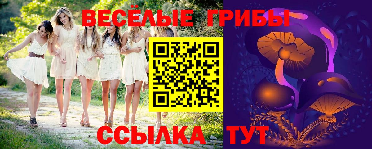 Псилоцибиновые грибы Psilocybe Мегион