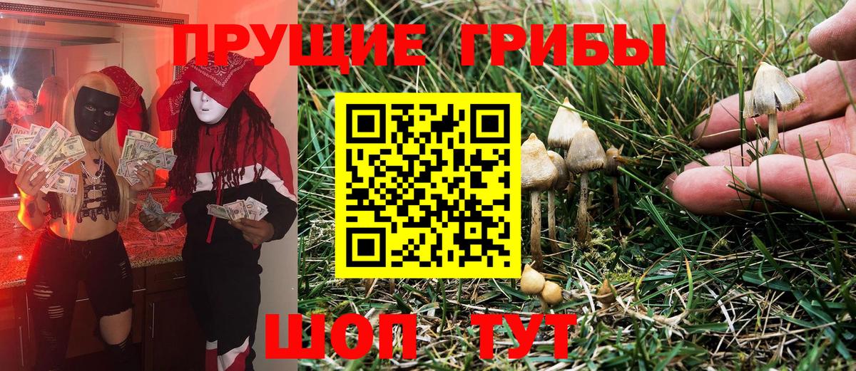 Галлюциногенные грибы GOLDEN TEACHER  Галлюциногенные грибы мухоморы  Мегион 